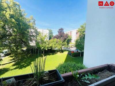 Terrassenwohnung mieten in 4020 Linz (Bild 1)