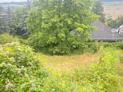 Grundstück kaufen in 3400 Klosterneuburg