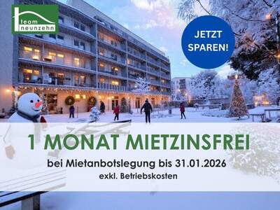 Terrassenwohnung mieten in 8020 Graz (Bild 1)