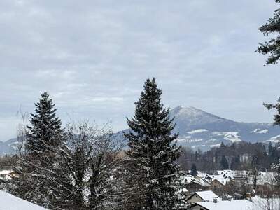 Wohnung mit Balkon kaufen in 5082 Grödig (Bild 2)