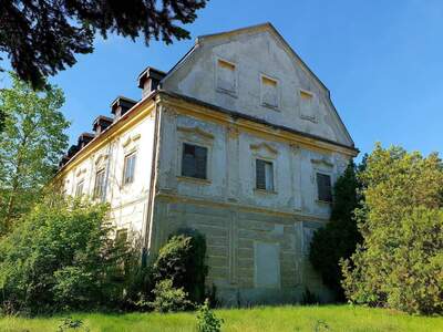 Haus kaufen in 3393 Matzleinsdorf