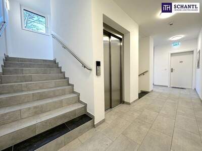 Terrassenwohnung kaufen in 8020 Graz (Bild 5)