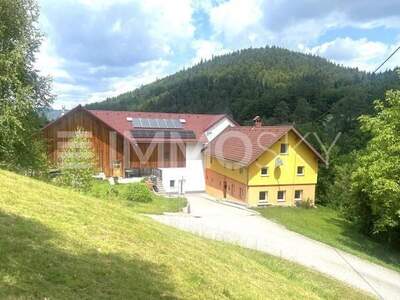 Haus kaufen in 4324 Rechberg