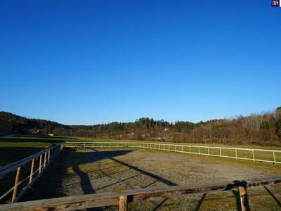 Gewerbeobjekt kaufen in 8570 Stallhofen (Bild 5)