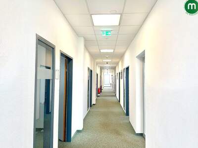 Gewerbeobjekt mieten in 2424 Zurndorf (Bild 4)