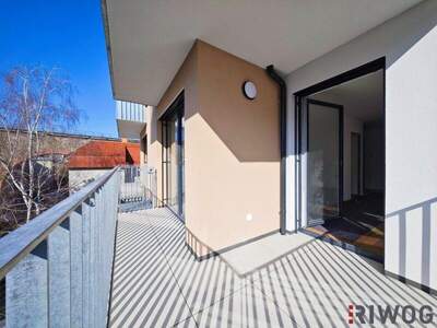 Terrassenwohnung kaufen in 1230 Wien (Bild 4)