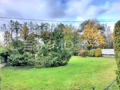 Grundstück kaufen in 4073 Wilhering (Bild 2)