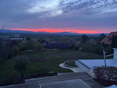 Haus kaufen in 7053 Hornstein