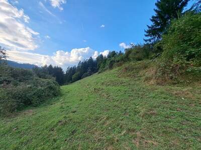 Gewerbeobjekt kaufen in 8573 Hemmerberg (Bild 3)