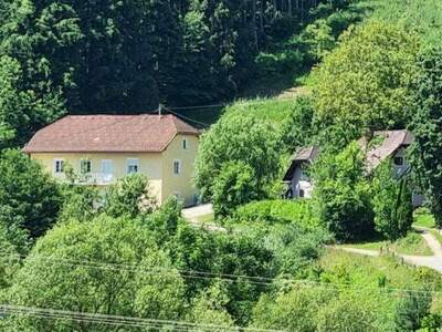 Einfamilienhaus kaufen in 9373 Klein Sankt Paul (Bild 1)