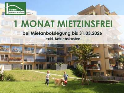 Terrassenwohnung mieten in 8020 Graz (Bild 1)
