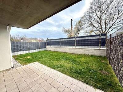 Terrassenwohnung kaufen in 2751 Matzendorf (Bild 3)