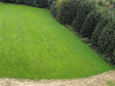 Grundstück kaufen in 8334 Riegersburg (Bild 3)