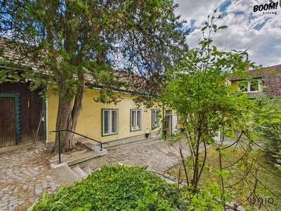 Haus kaufen in 1180 Wien