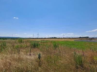 Grundstück kaufen in 2486 Pottendorf