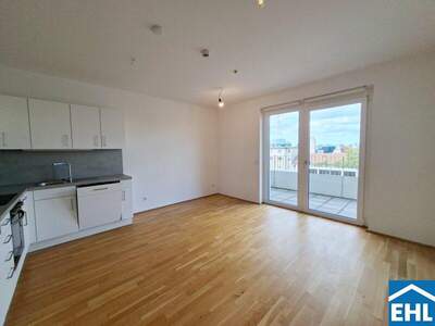 Terrassenwohnung mieten in 1020 Wien (Bild 1)