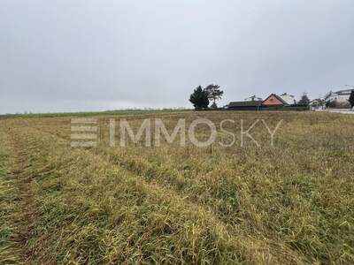 Grundstück kaufen in 2201 Kapellerfeld (Bild 1)