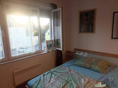 Wohnung mieten in 2293 Marchegg (Bild 4)