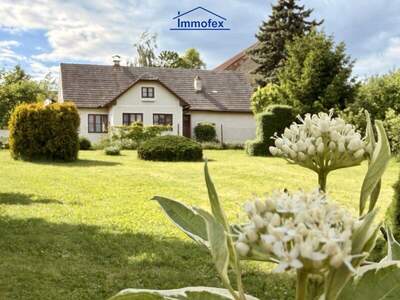 Einfamilienhaus kaufen in 2084 Weitersfeld (Bild 2)