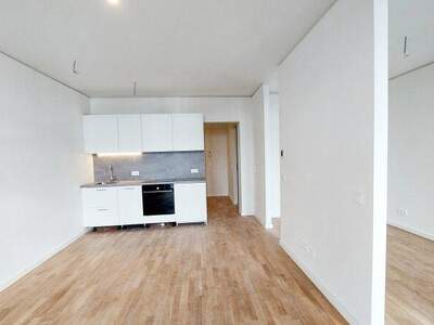 Terrassenwohnung mieten in 1220 Wien (Bild 2)