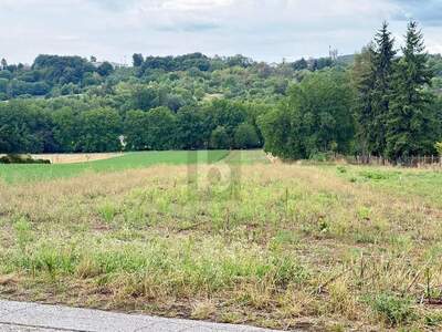Grundstück kaufen in 7021 Draßburg