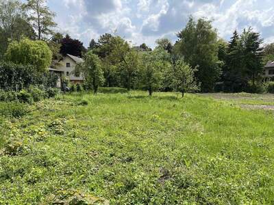 Grundstück kaufen in 2111 Obergänserndorf (Bild 5)