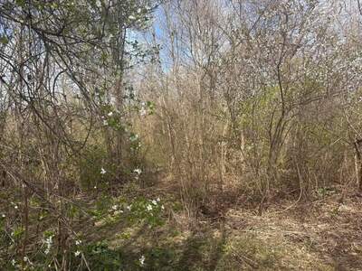 Grundstück kaufen in 2500 Baden