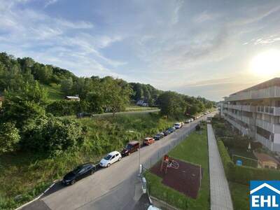 Terrassenwohnung mieten in 3451 Michelhausen (Bild 4)