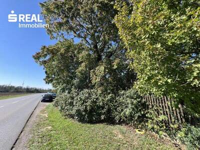 Grundstück kaufen in 2230 Gänserndorf (Bild 4)