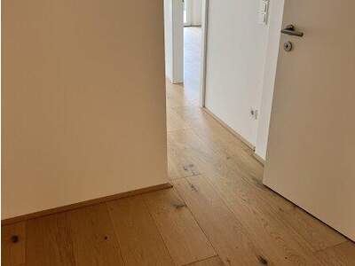 Terrassenwohnung kaufen in 1210 Wien (Bild 3)