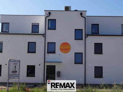 Wohnung kaufen in 2524 Teesdorf