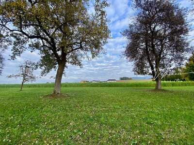 Grundstück kaufen in 4861 Schörfling