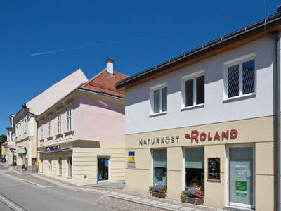 Gewerbeobjekt mieten in 3270 Scheibbs (Bild 1)