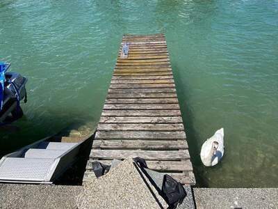 Einfamilienhaus kaufen in 2491 Neufeld (Bild 4)