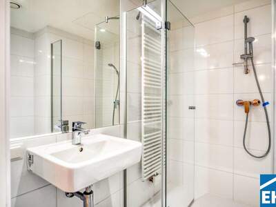 Terrassenwohnung mieten in 1030 Wien (Bild 5)
