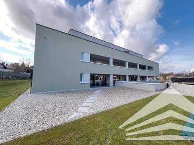Wohnung kaufen in 4470 Enns