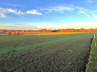 Gewerbeobjekt kaufen in 5133 Gilgenberg