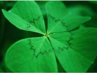 Grundstück kaufen in 1220 Wien (Bild 1)