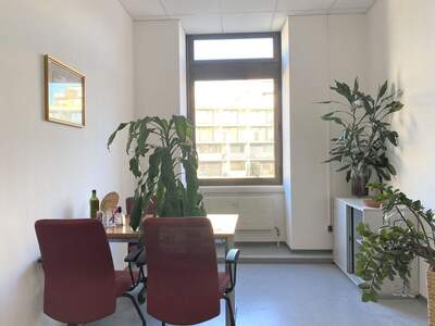 Gewerbeobjekt kaufen in 8020 Graz (Bild 4)