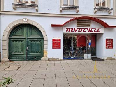 Anlageobjekt kaufen in 2700 Wiener Neustadt (Bild 1)