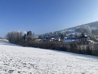 Grundstück kaufen in 4542 Nußbach