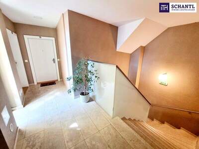 Terrassenwohnung kaufen in 1070 Wien (Bild 5)