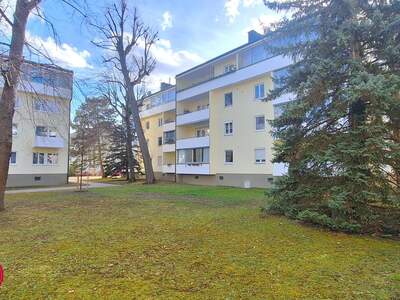 Terrassenwohnung kaufen in 2500 Baden (Bild 3)