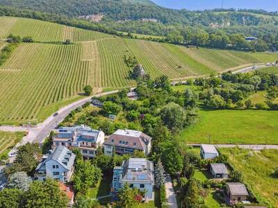 Haus kaufen in 1190 Wien