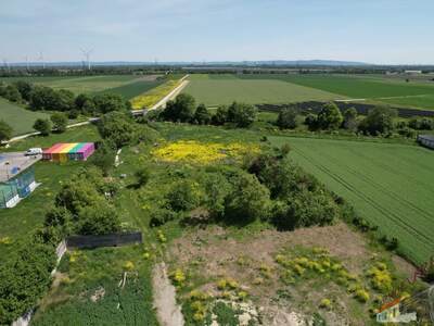 Grundstück kaufen in 2521 Trumau (Bild 3)