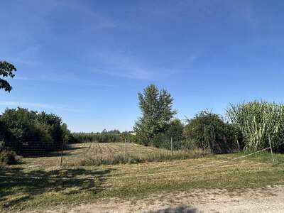 Grundstück kaufen in 7100 Neusiedl (Bild 3)