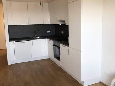 Wohnung mieten in 8020 Graz