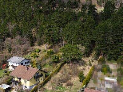 Grundstück kaufen in 2733 Grünbach (Bild 2)