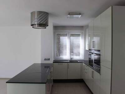 Terrassenwohnung kaufen in 1230 Wien (Bild 3)