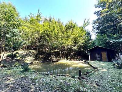 Gewerbeobjekt kaufen in 8462 Gamlitz (Bild 2)